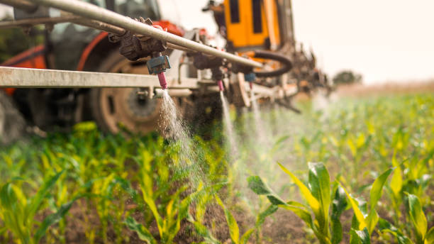 Insect Control in Columbia City, IN